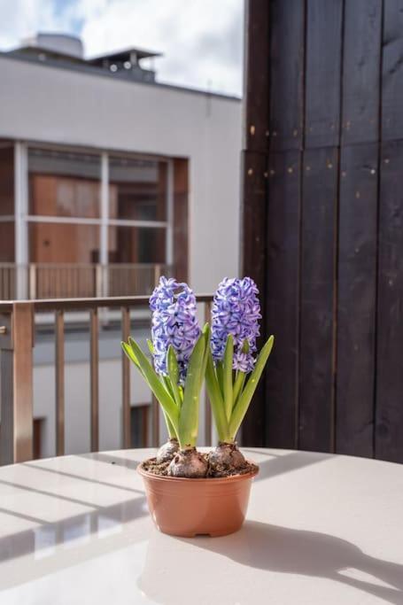 New Loft With Rooftop Terrace In The Old Town ريغا المظهر الخارجي الصورة